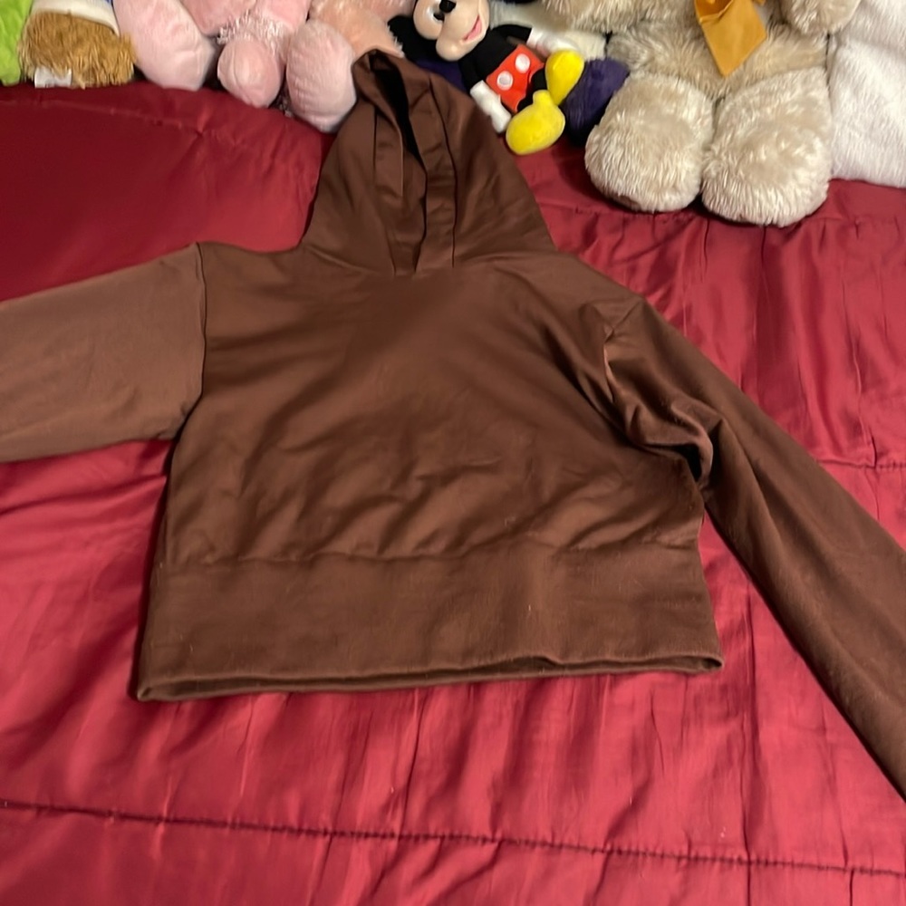 I am selling this brown cropped sweater